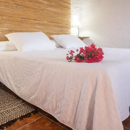 Casa Rural Aloe Vera Country house Huercal-Overa