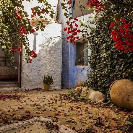 Casa Rural Aloe Vera Country house Huercal-Overa